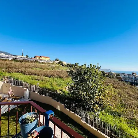 Euforbia Bilo - Санремо