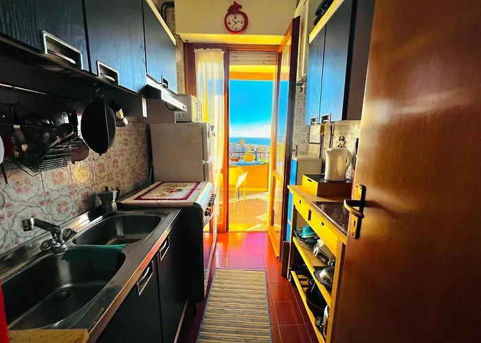 Euforbia Bilo - * Σαν Ρέμο