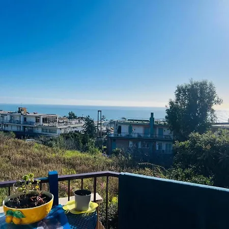 Euforbia Bilo - Sanremo