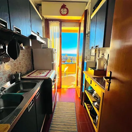 Euforbia Bilo - * Sanremo