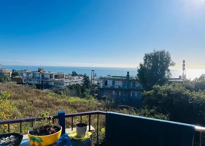 Euforbia Bilo - Sanremo